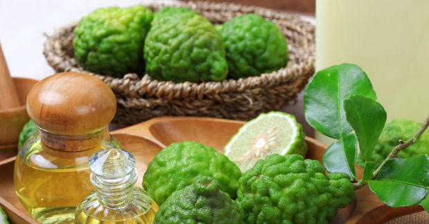 photo Fresh bergamot fruits, leaves, and a glass bottle of essential oil arranged on a wooden tray with a woven basket.