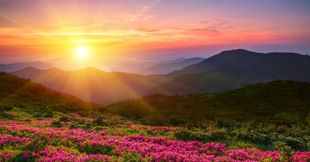 (Shutterstock)class="