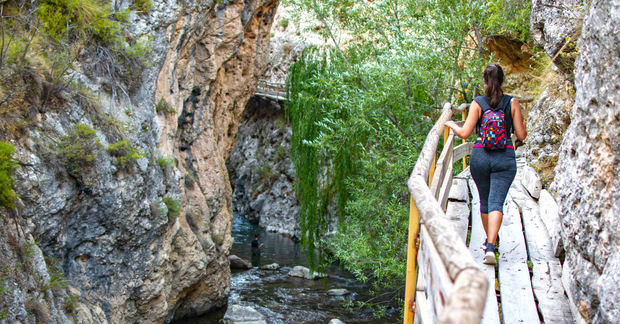 (Shutterstock)class="