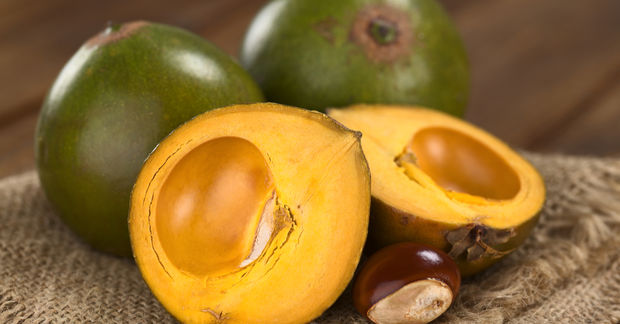 Lucuma
