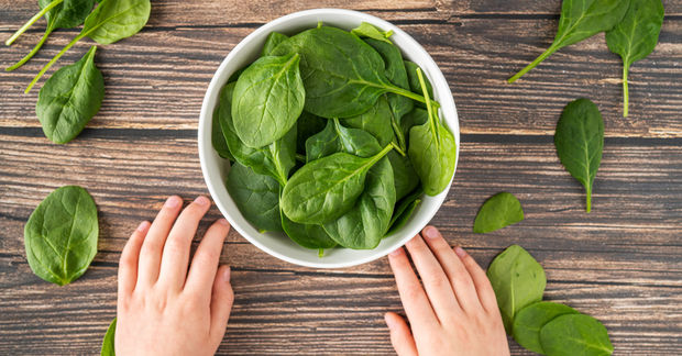 Hands holding a white bowl filled with fresh spinach leaves on a rustic wooden table, with scattered leaves around.