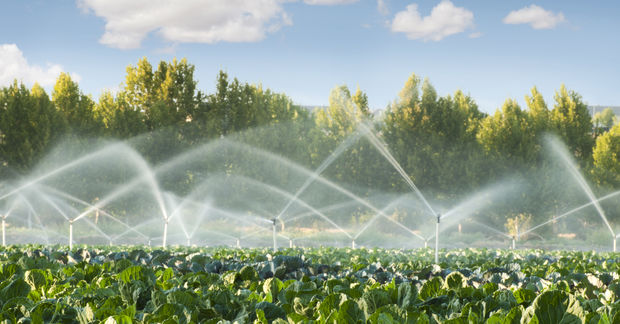 Irrigating