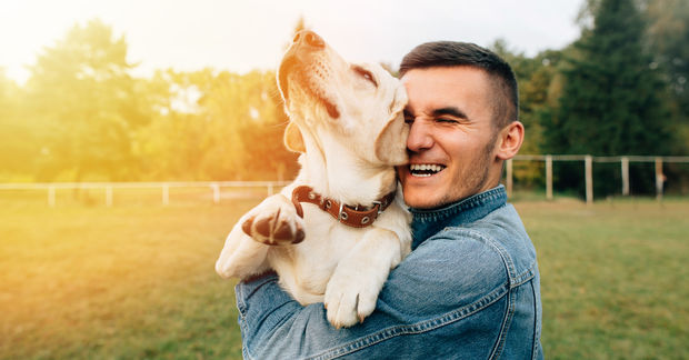 Petting a dog is calming.