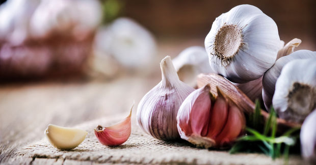 Garlic