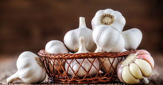 Garlic