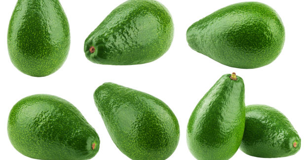Avocados